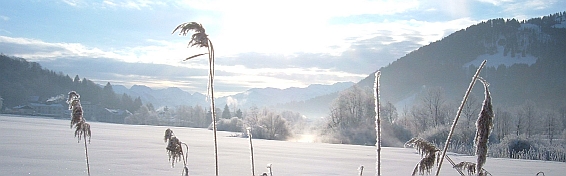 Banner Winter 2