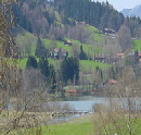 Bild Immenstadt Blick Alpsee